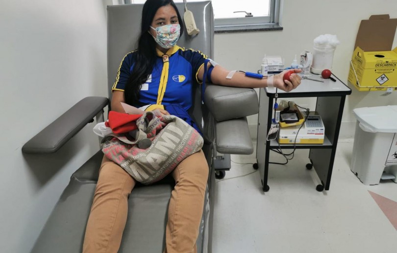 Voluntários se mobilizam para doar sangue neste sábado (15)